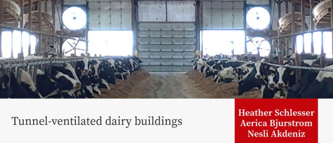 Tunnel-ventilated dairy buildings